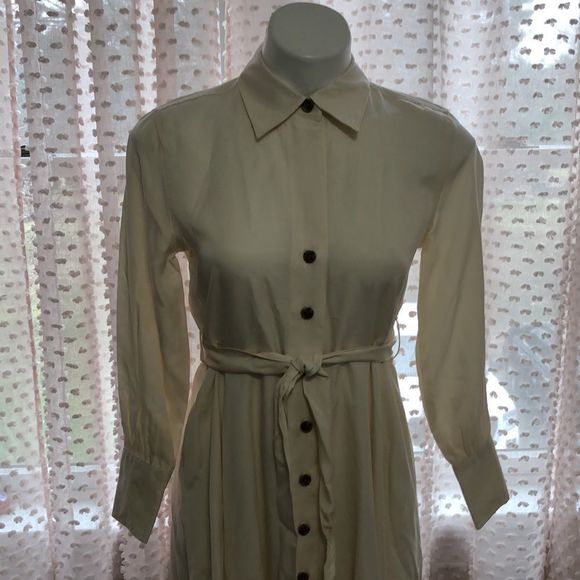 Banana Republic Belted Tencel Shirtdress - Picture 5 of 15
